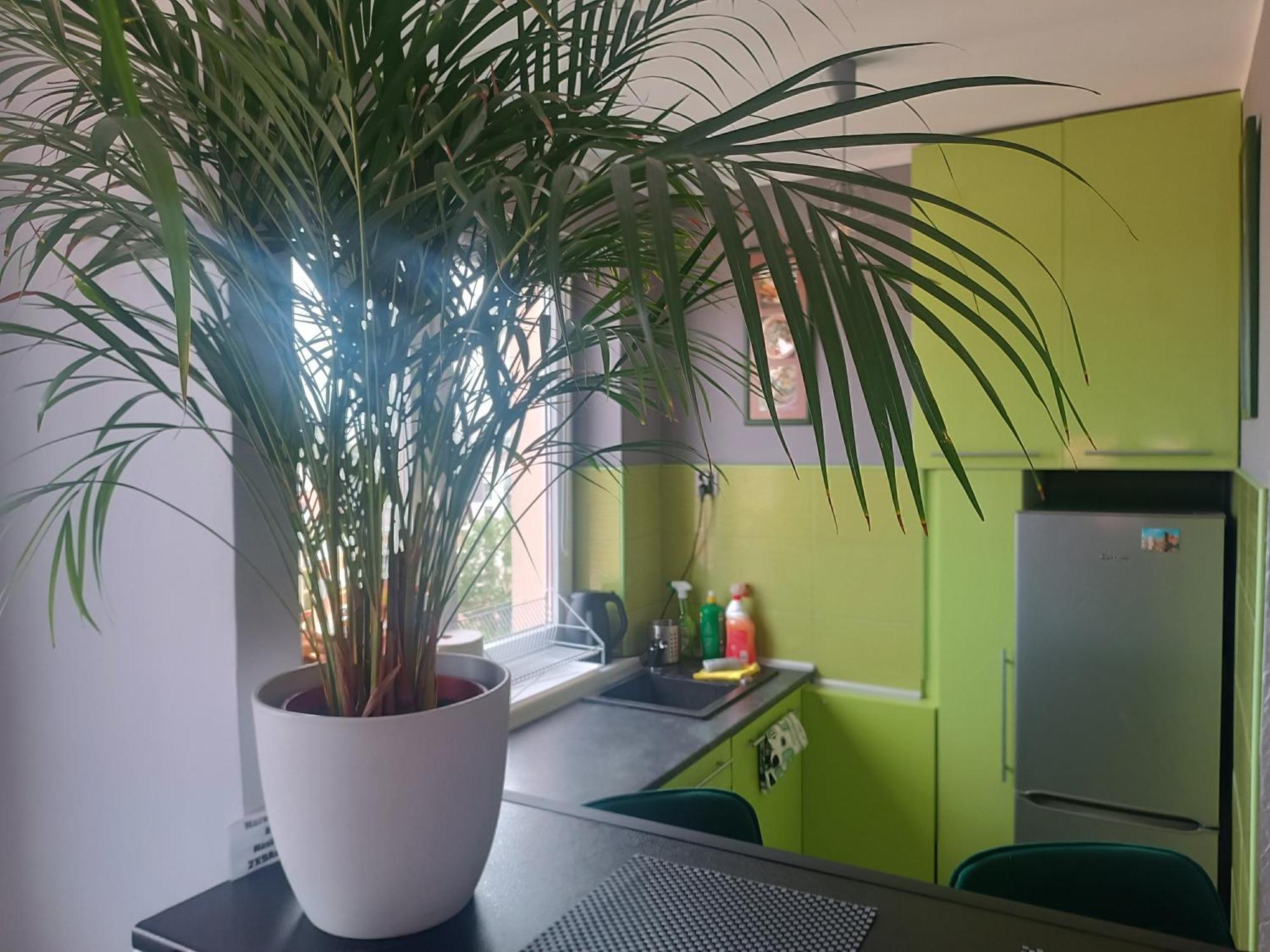 Apartament Dlugie Ogrody 2 Pokojowy Gdańsk Kültér fotó